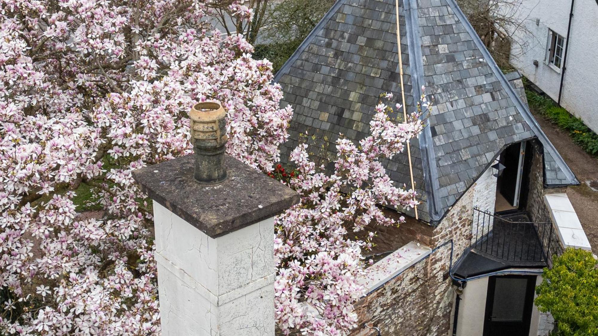 Fairy Cottage 赫里福德 外观 照片